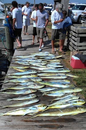 obx2014-fishing-picture-3